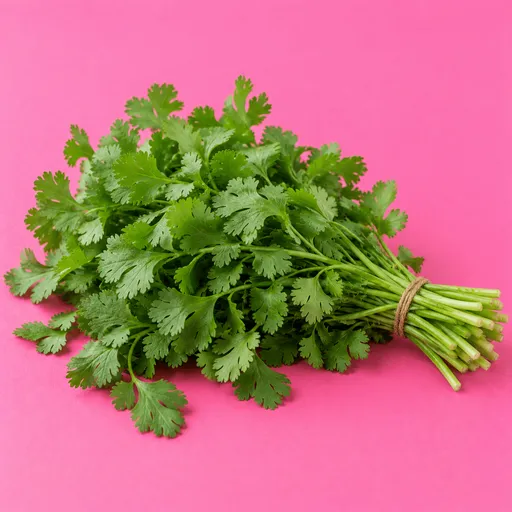 گشنیز