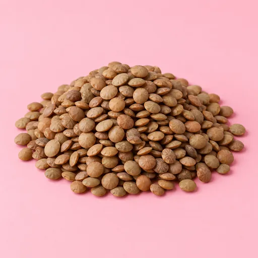 عدس