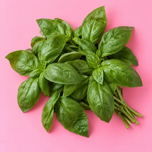 ریحون